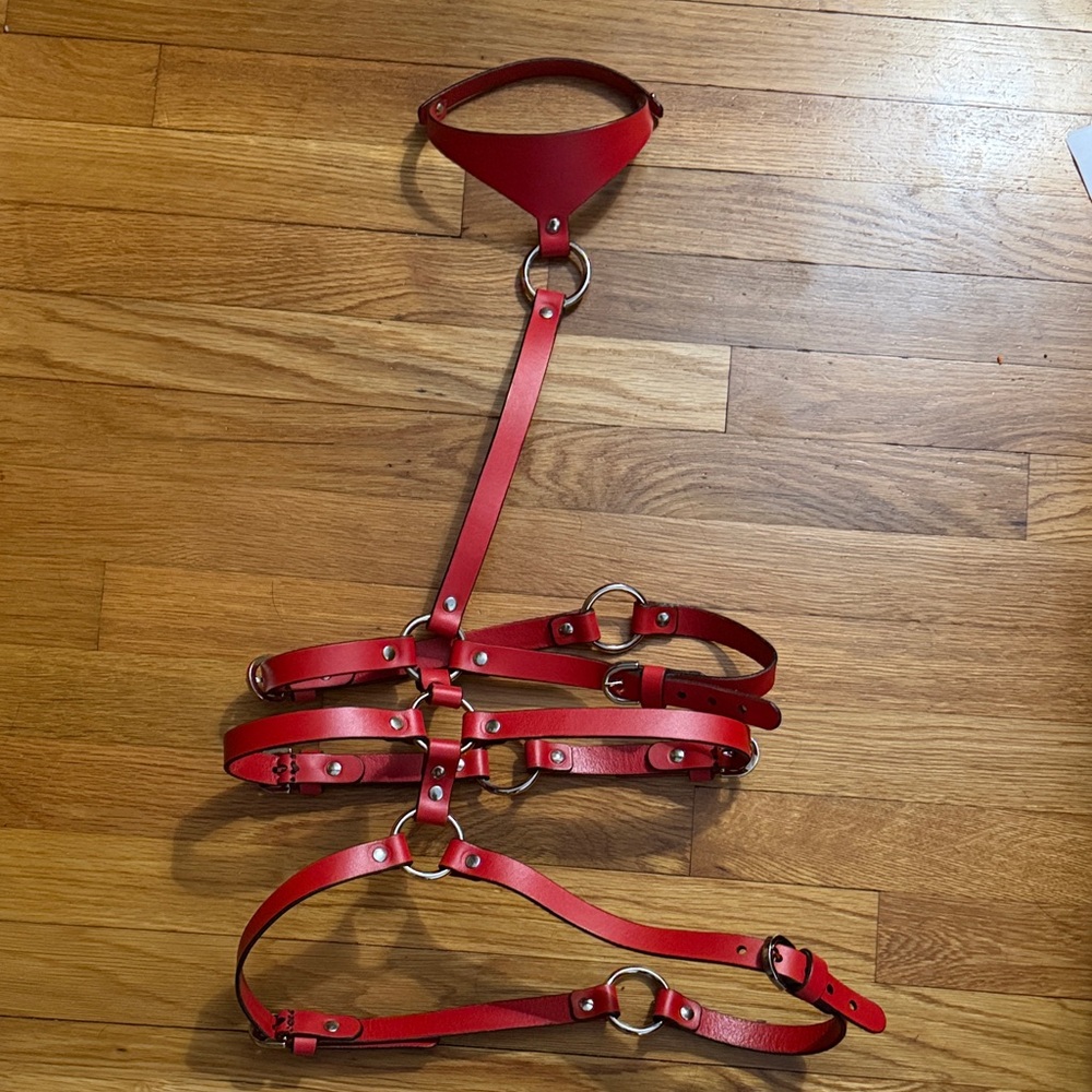 0770 Roxane Red Leather Harness - Picture 5 of 15